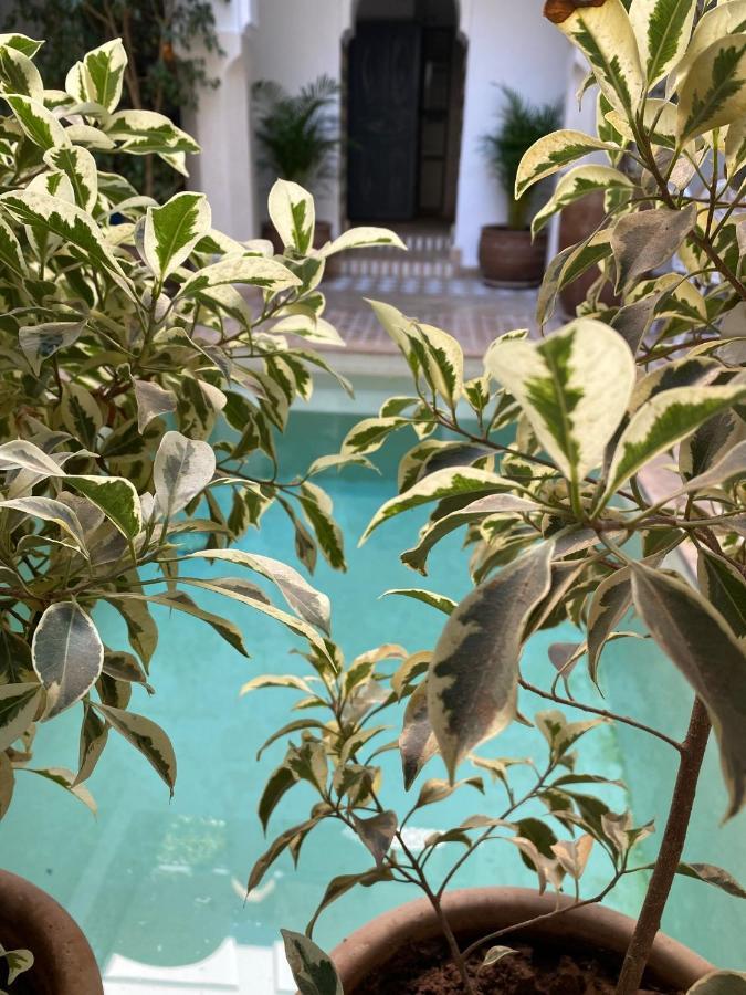 Riad Magellan Yoga&Spa Marrakesh Bagian luar foto